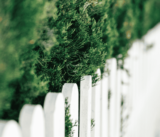 cloture jardin blanche à mont de marsan