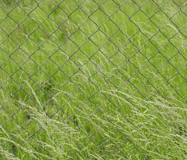 cloture en grillage à hagetmau